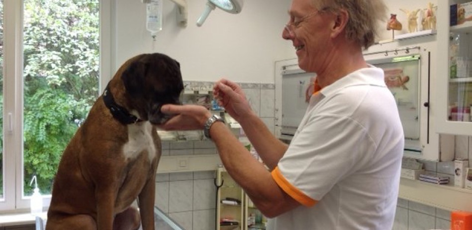 Berliner Tierarztpraxis