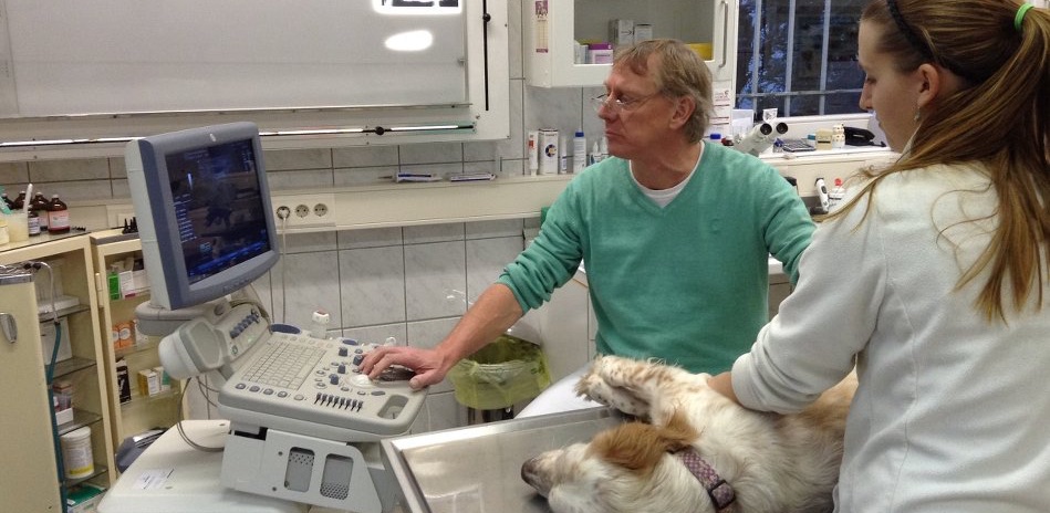 Berliner Tierarztpraxis